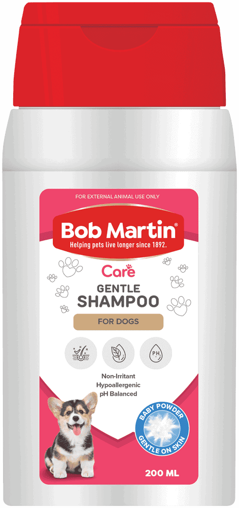 Front of Bob Martin Care Gentle Shampoo for Dogs 200 ml bottle