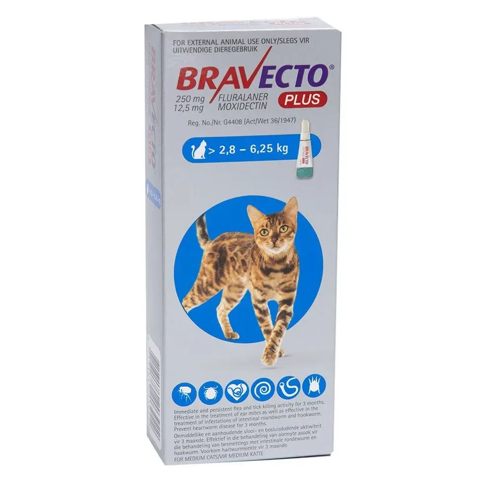 Angled front view of Bravecto Plus for Cats Medium 250mg applicator box