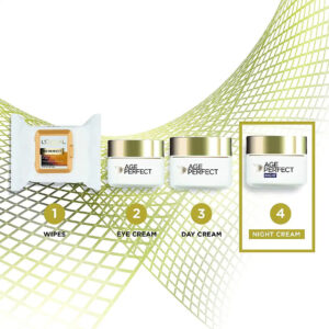 LOREAL PLENITUDE AGE PERFECT N/CRM 50ML - Image 4